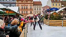 V pátek dopoledne se na nám�stí P�emysla Otakara II. v �eských Bud�jovicích...