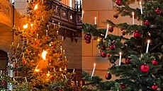 �výcarsko stále zdobí váno�ní stromky skute�nými sví�kami