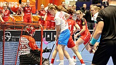 Útonice Nikola tekerová bojuje o míek ped výcarskou brankákou Larou...