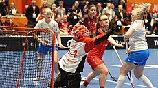 �výcarská branká�ka Lara Heiniová se natahuje po mí�ku p�ed �eskou úto�nicí...