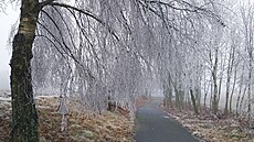 Silná námraza se ve st�edu ráno objevila i na ��ársku. Hasi�i v celém kraji...