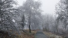 Silná námraza se ve st�edu ráno objevila i na ��ársku. Hasi�i v celém kraji...