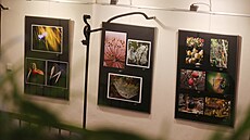 �ty�iat�icet snímk�, vyhodnocených porotou jako nejlep�í, nyní muzeum vystavuje...