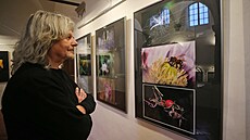 �ty�iat�icet snímk�, vyhodnocených porotou jako nejlep�í, nyní muzeum vystavuje...