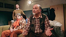 P�edstavení Spole�enstva vlastník� vy�aduje od �trnácti herc� Horáckého divadla...