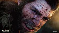 Marvel�s Wolverine