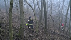 Policisté a hasi�i pátrají po dvanáctiletém chlapci z Halenkovic na Zlínsku....