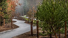 Asfaltová stezka od Zdné boudy k lesnímu hbitovu vede chodce a cyklisty...