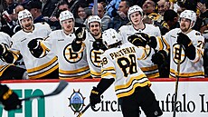 Bostonský kídelník David Pastrák pijímá gratulace ke vstelenému gólu.