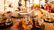 Degusta�ní sklenka s pivním speciálem v Guinness Open Gate Brewery v Londýn�...