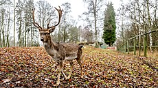 Náchod bude hospodařit s př�­jmy 687,8 mil.KÄ� a výdaji 764,5 mil.KÄ�