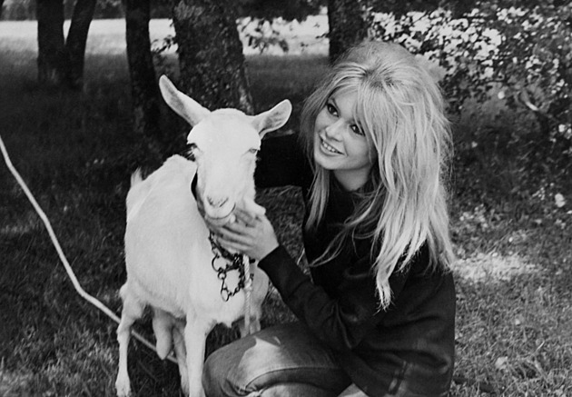 OBRAZEM: Filmová hvězda a ikonická kráska. Brigitte Bardotová skončila s herectvím už před čtyřicítkou