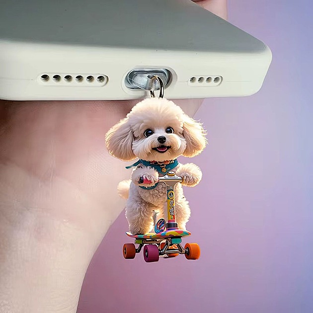 Kupujte čínské „kravinky“ na mobily, dokud se to vyplatí. Zde je náš výběr