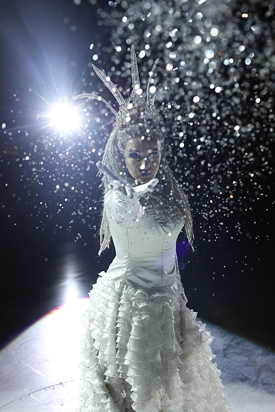 Jeden z nejkr�sn�j��ch poh�dkov�ch p��b�h� o s�le p��telstv�, l�sky a odvahy...