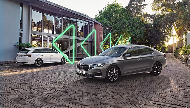 Firemn� program �koda: Chytr� �e�en� aut pro podnikatele