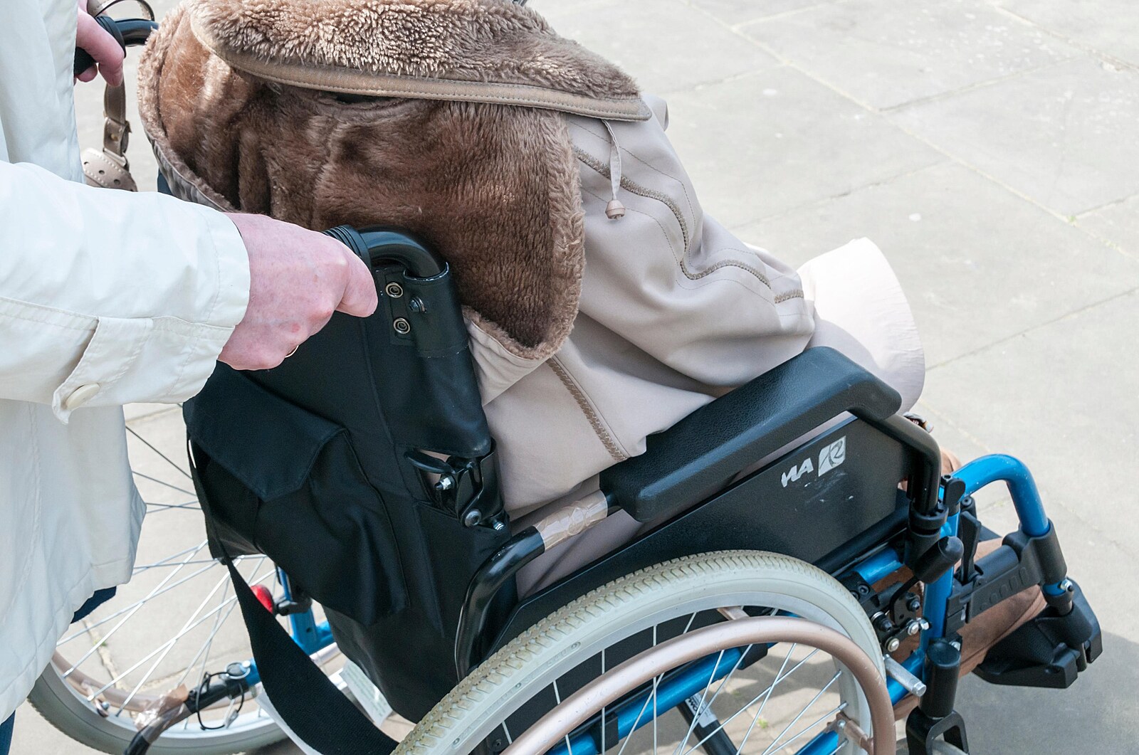 Rodina provezla na palubu mrtvou babičku, tvrdí pasažéři. Letadlo se vracelo