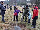 V P�ibyslavi a okol� s�z� stromy i �lenov� sdru�en� Opuka. V listopadu pod�l...