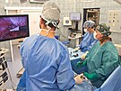 Opera�n� t�m ostravsk� fakultn� nemocnice v �ele vedouc� l�ka�kou Centra d�tsk�...