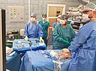 Opera�n� t�m ostravsk� fakultn� nemocnice v �ele vedouc� l�ka�kou Centra d�tsk�...