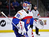 Slovenský branká� Alan Lendák.