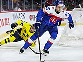 Slovenský hokejista Andrej Fabu� v utkání proti �védsku.