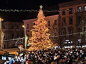 Brn�nský váno�ní strom se pokácí v nedalekých Bílovicích, vzty�í se v centru a...