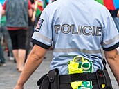 ilustra�ní snímek