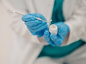 ilustra�ní snímek