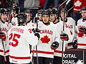 Radost kanadských hokejist� po gólu v utkání s �eskem.