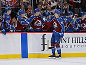 Martin Ne�as slaví se st�ída�kou Colorada gól proti Minnesot�.