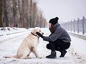 P�i ven�ení na Silvestra bu�te opatrní, nepodce�ujte rizika, radí dnes tatínek...