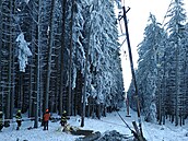 Hasi�i zasahovali na Kleti, kde spadl na lanovku strom. (26. prosince 2026)