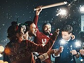 Situace kolem silvestrovské pyrotechniky je ka�doro�n� bolestivým tématem.