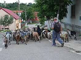 Banát, historický region v Rumunsku, kde u� více ne� 200 let �ije �eská...