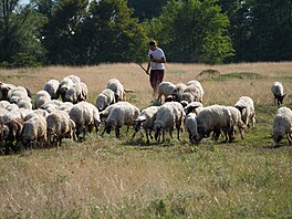 Banát, historický region v Rumunsku, kde u� více ne� 200 let �ije �eská...