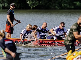 Volební kampa� hnutí ANO (2025)