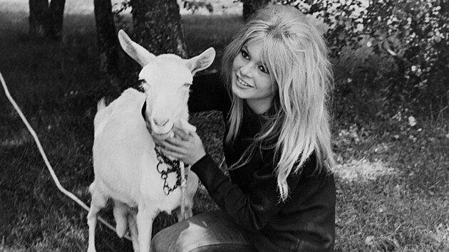 Aktris Perancis Brigitte Bardot