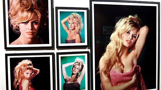 Sn�mky Brigitte Bardotov� na v�stav� ve francouzsk�m m�st� Boulogne-Billancourt