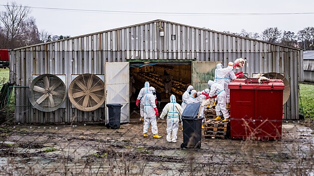 V Habrech na Havl��kobrodsku za�ala likvidace chovu slepic, v n�m� se vyskytla pta�� ch�ipka. Hasi�i spolu s veterin��i i v�zni musej� v ochrann�ch oblec�ch vynosit a usmrtit na 35 tis�c nosnic. (23. prosince 2025) 