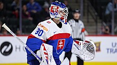 Slovenský branká� Alan Lendák.