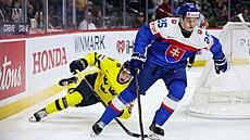 Slovenský hokejista Andrej Fabu� v utkání proti �védsku.