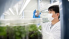 �ínský biotechnologický startup Magic Pen Bio se sídlem v Che-feji nedávno...