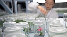 Tým musel optimalizovat enzymy v reak�ním procesu, zvý�it jejich ú�innost a...