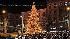 Brn�nský váno�ní strom se pokácí v nedalekých Bílovicích, vzty�í se v centru a...