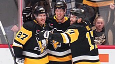 Sidney Crosby z Pittsburghu (vlevo) p�ijímá od spoluhrá�� gratulace k p�ekonání...