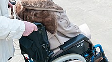 ilustra�ní snímek