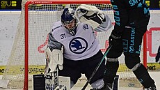 Nick Malík z Plzn� chytá karlovarskou st�elu.