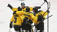 Hrá�i Litvínova se radují z gólu �eským Bud�jovicím.