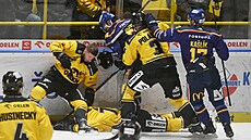 Poty�ka hrá�� Litvínova a �eských Bud�jovic.