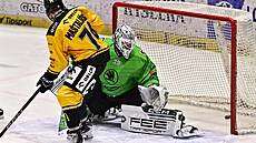 Mladoboleslavský gólman Furch pou�tí gól v zápase s Litvínovem.